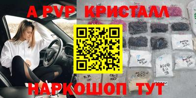 стафф Малоярославец