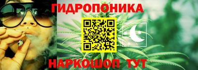 ГАЛЛЮЦИНОГЕННЫЕ ГРИБЫ Малгобек