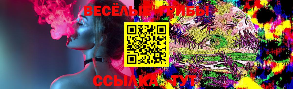 Псилоцибиновые грибы мицелий  купить наркотик  Псилоцибиновые грибы GOLDEN TEACHER  Елизово  Вход с VPN 